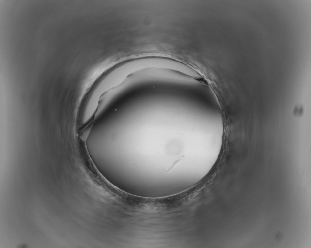 X0000091290248200709071038