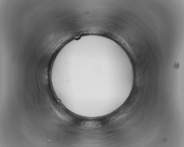 X0000091290251200709071038