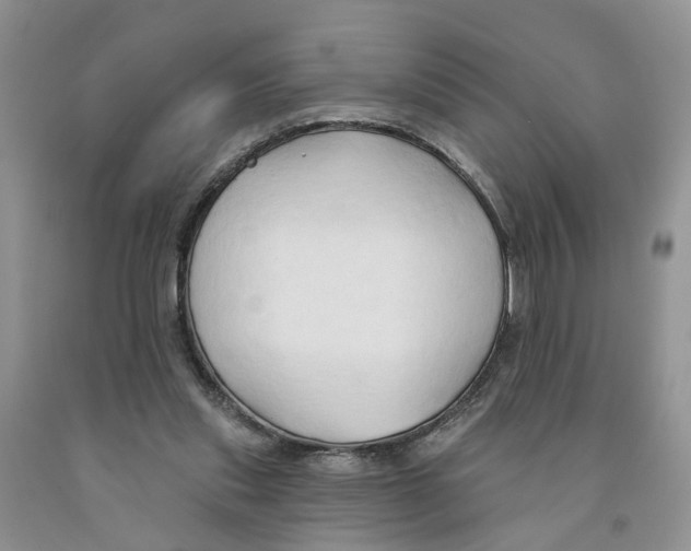 X0000091290253200709071038