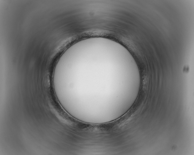 X0000091290254200709071038