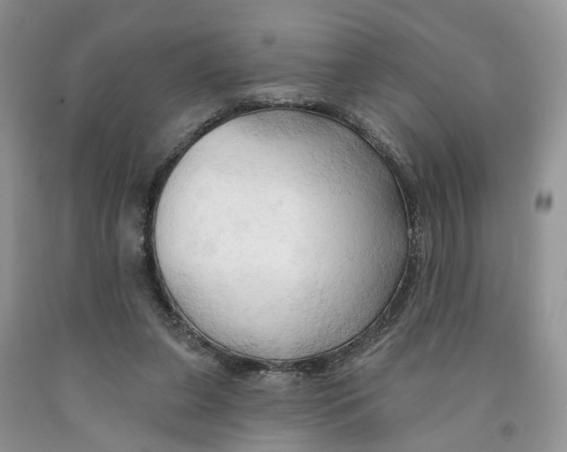 X0000091290255200709071038