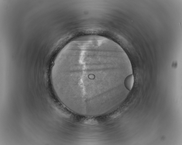 X0000091290258200709071038