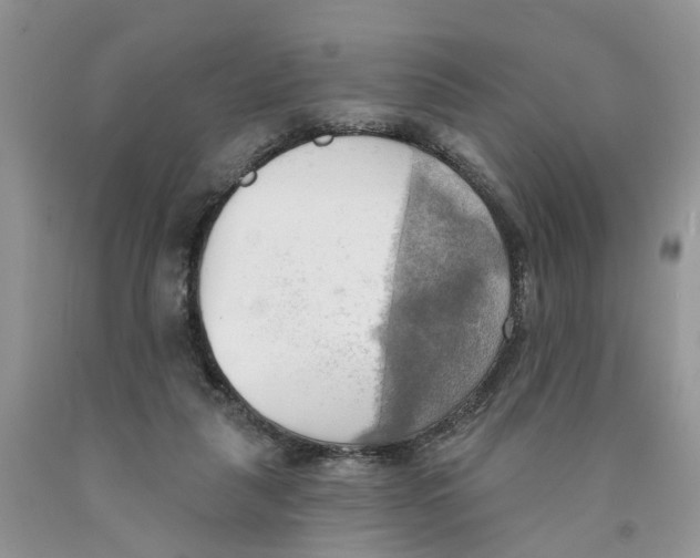 X0000091290259200709071038