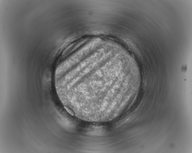 X0000091290260200709071038