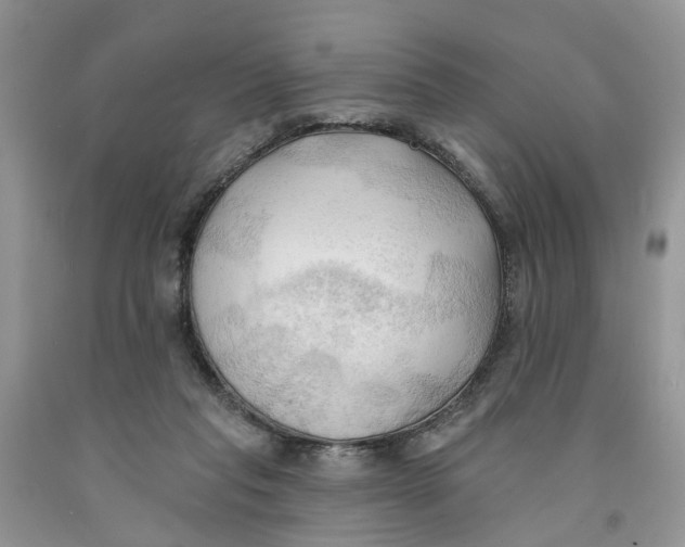 X0000091290261200709071038