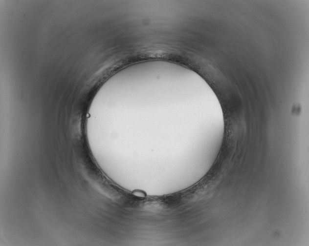 X0000091290262200709071038