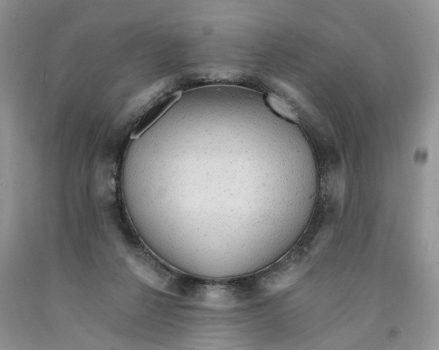 X0000091290264200709071038