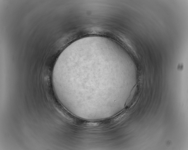 X0000091290265200709071038