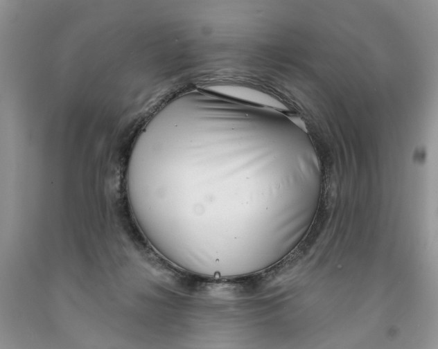 X0000091290268200709071038