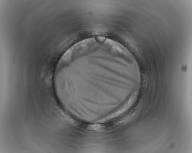 X0000091290269200709071038