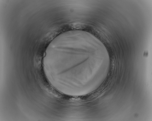 X0000091290271200709071038