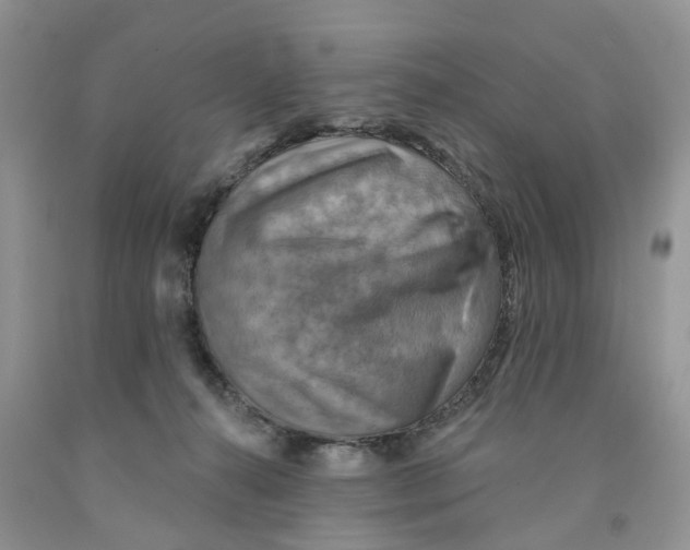 X0000091290272200709071038