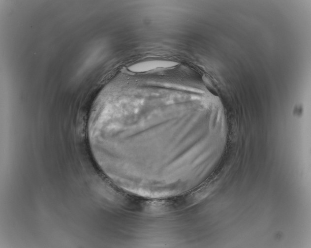 X0000091290273200709071038