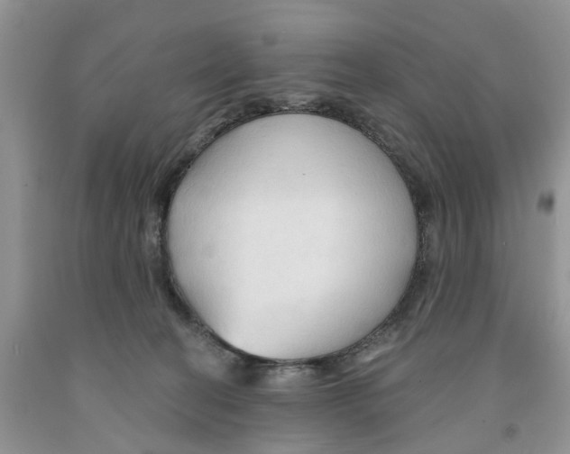 X0000091290274200709071038