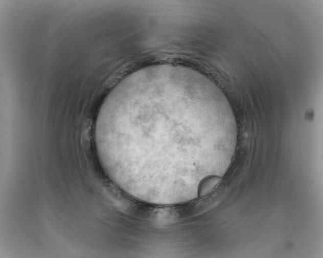 X0000091290275200709071038