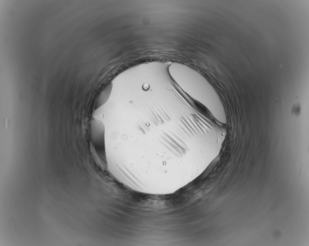 X0000091290276200709071038