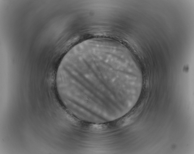 X0000091290277200709071038