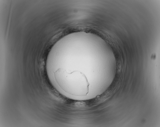 X0000091290279200709071038