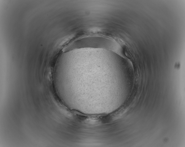 X0000091290280200709071038