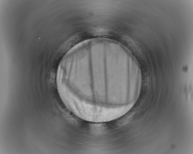 X0000091290281200709071038