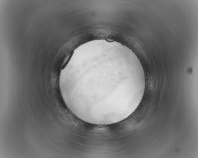 X0000091290283200709071038