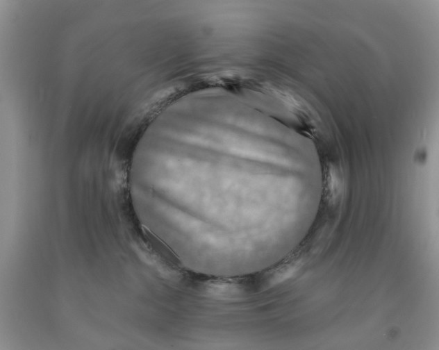 X0000091290284200709071038