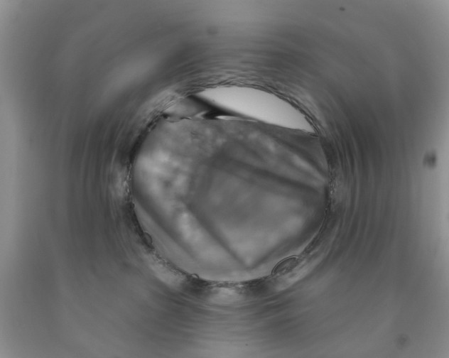 X0000091290285200709071038