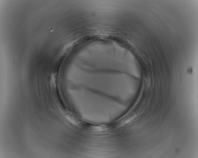 X0000091290286200709071038