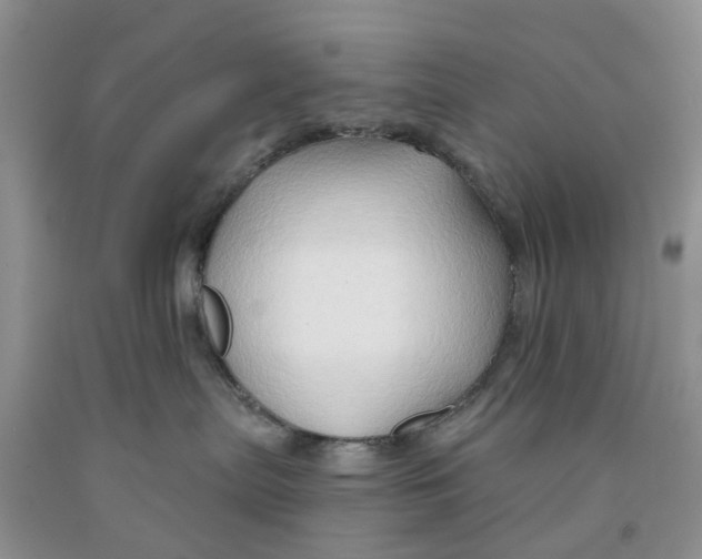 X0000091290287200709071038