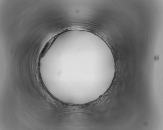 X0000091290289200709071038