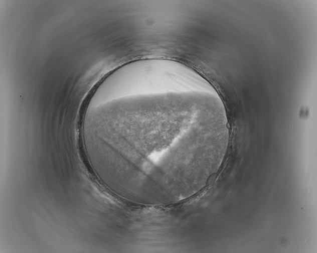 X0000091290290200709071038