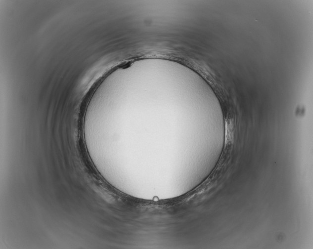 X0000091290291200709071038