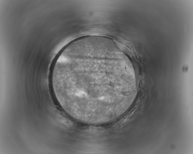 X0000091290292200709071038