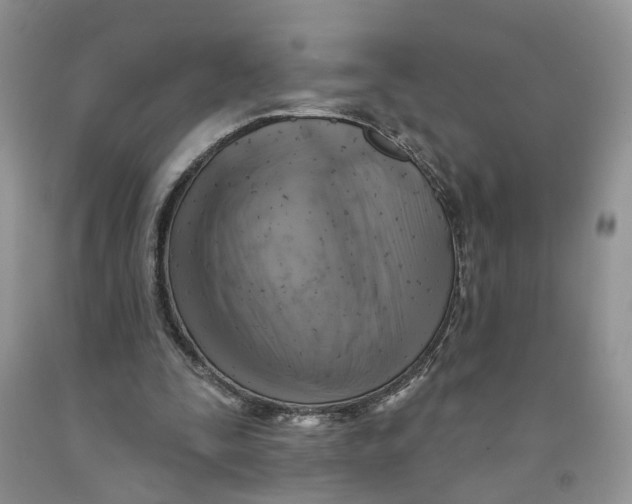 X0000091290295200709071038