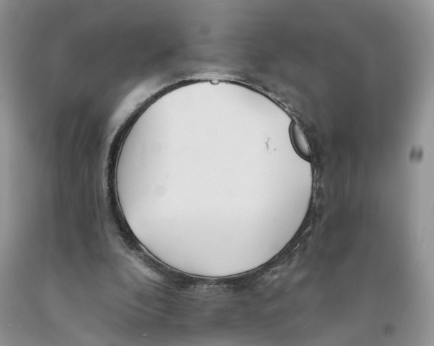 X0000091290296200709071038