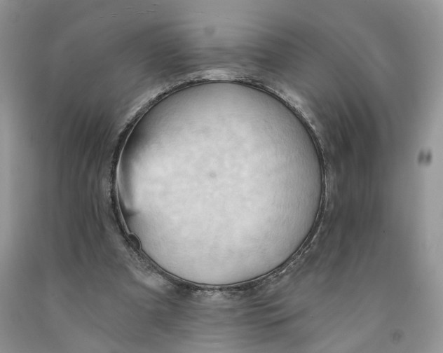 X0000091290297200709071038