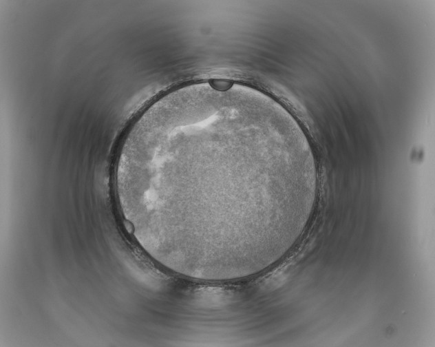 X0000091290298200709071038