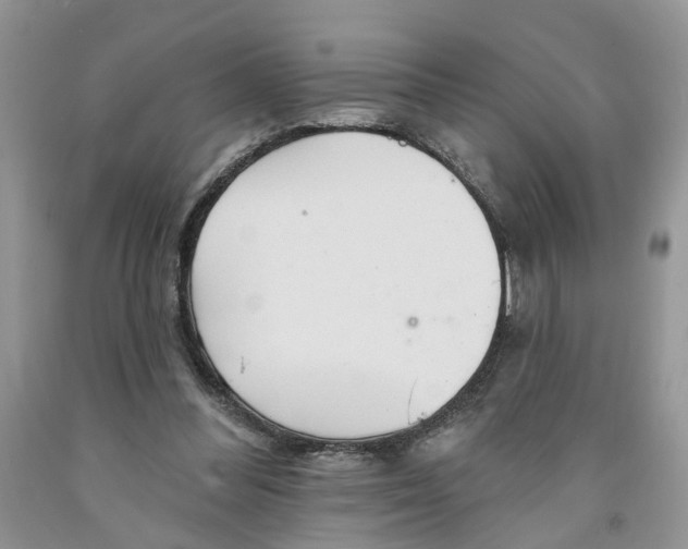 X0000091290300200709071037