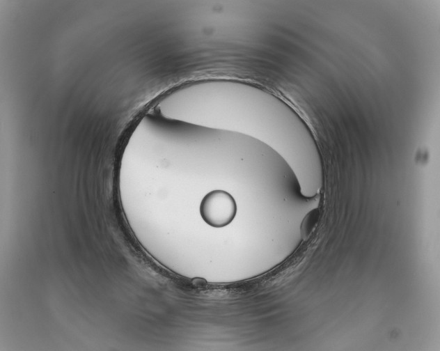 X0000091290301200709071037