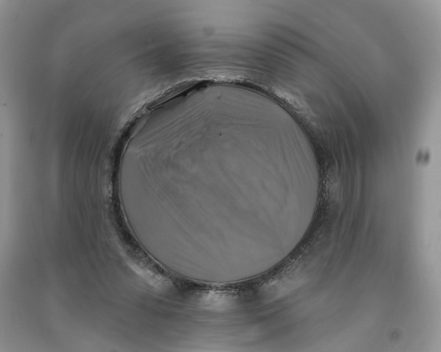 X0000091290303200709071037