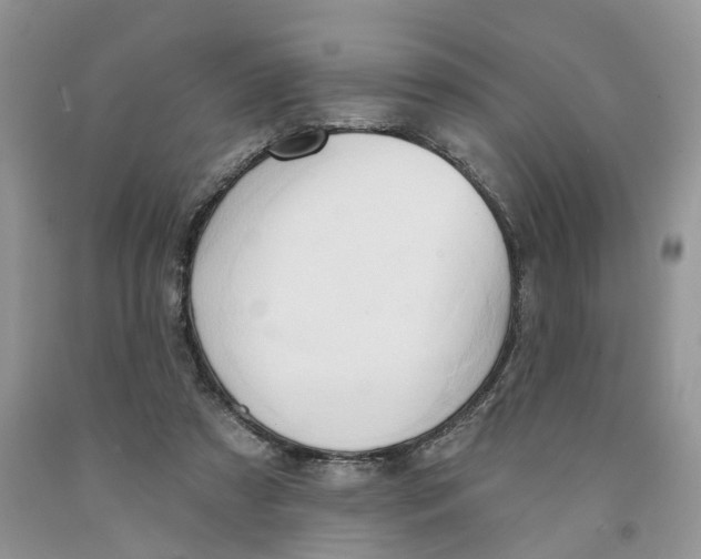 X0000091290305200709071037