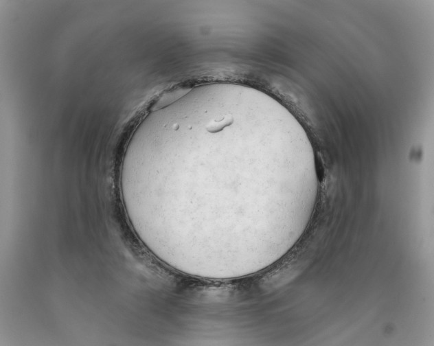 X0000091290306200709071037