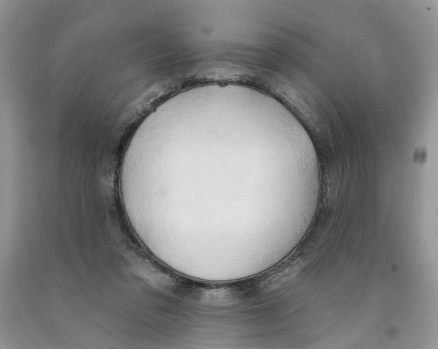 X0000091290309200709071037