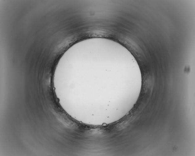 X0000091290310200709071037