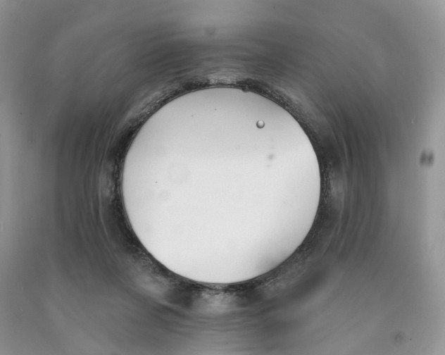 X0000091290311200709071037