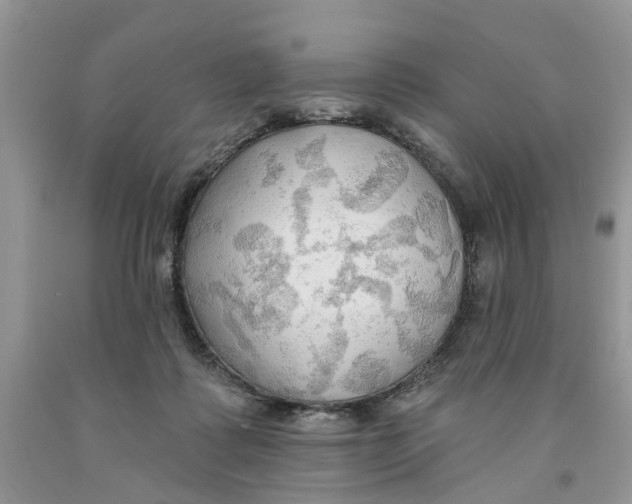 X0000091290315200709071037