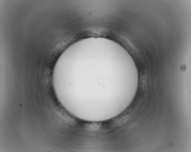 X0000091290318200709071037