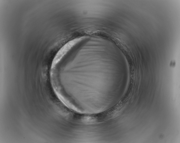 X0000091290319200709071037