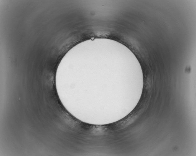 X0000091290321200709071037