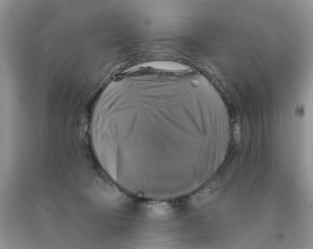 X0000091290322200709071037